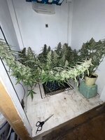 IMG_4348.jpeg