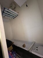 IMG_4361.jpeg