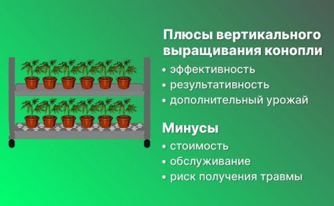Вертикальный гров Вертикальный гров