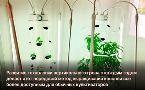 Будущее за вертикальным гровом? Будущее за вертикальным гровом?