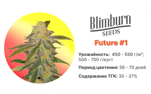  Future #1
